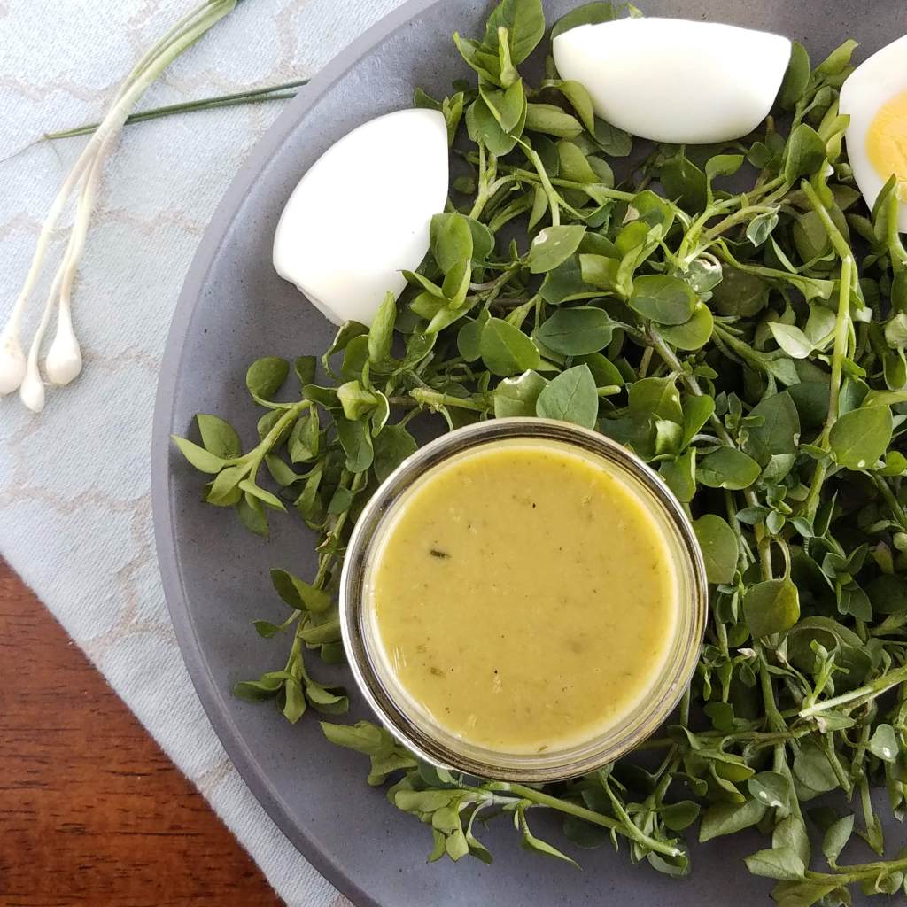 Chickweed salad with field garlic vinaigrette - a perfect spring pairing